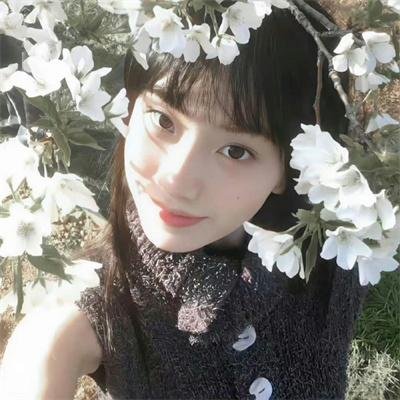 清白者 在线观看