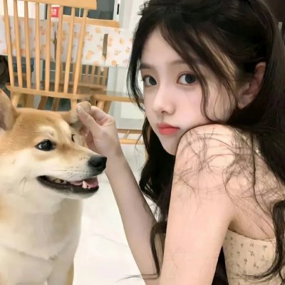 青春篮球梦 在线观看